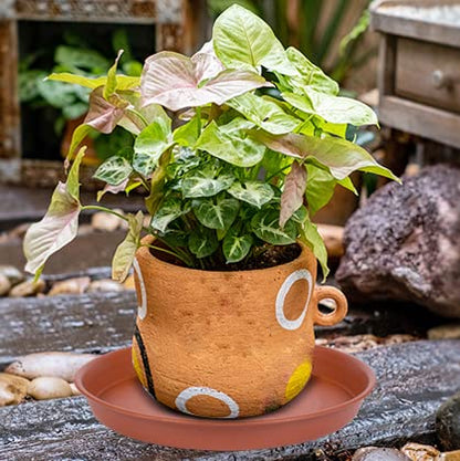 2 Pack of 10 inch Plant Saucer, Bird Bath Bowl 10 inch, Plant Tray for Pots, Plant Saucers for Indoors, Plant Trays for Planter 8"/9"/10" (10 inch, Terracotta) - size: 10" (2 pack)