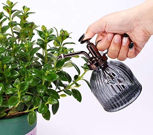 Glass Plant Mister, 6.5" Green Glass Water Spray Bottle with Gold Top Pump, Small Plant Sprayer for Indoor Outdoor Houseplants