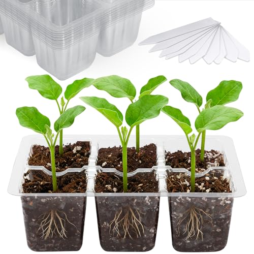 10-Pack Seed Starter Trays, 6-Cell Insert Trays, Clear | 60 XL Cells Fit Tomatoes, Peppers & Large Seeds. Adjustable Vents Control Humidity, While Clear Trays Monitor Root Growth - color: Clear, size: 60 XL Cells