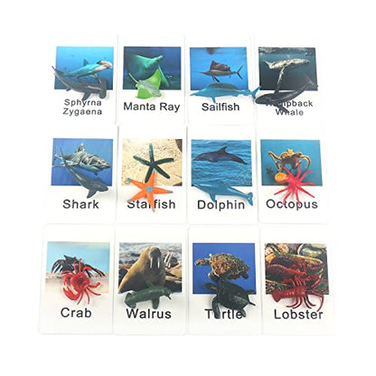 MEROCO Ocean Animals Montessori Matching Game Toys Kids Preschool | Sea Life Flash Cards Matching Game Toddlers Classroom Learning Plastic Figurines 3-5 - style: Marine Animal