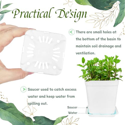 OJYUDD 72 Pcs 3 Inch White Square Plastic Pots with Saucer,White Plastic Plant Seedling Pots,Seedling Nursery Pots Indoor Outdoor for Succulents/Plant,Garden,Office and Balcony Decor - size: 72 Pack White