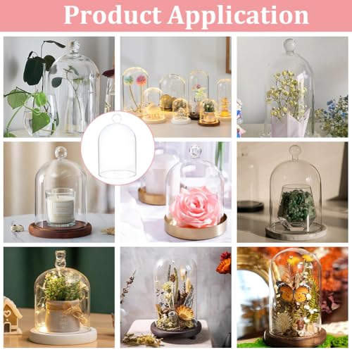 BENECREAT 4.7x6.3inch Glass Display Cloche, Clear Dustproof Dome with Bell, Glass Bell Cloche for Plants, Fairy Lights or Table Wedding Decor - size: 4.7x6.3 Inch