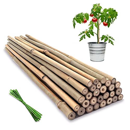 Plant Stakes,16IN Natural Garden Bamboo Sticks, 20Pcs Plant Support Stakes | BOVITRO with 20Pcs Green Ties, Bamboo Sticks for Plants,Garden Stakes for Plants,Tomatoes, Beans, Vegetable and Potted Plants - size: 16 Inches, 20Pack