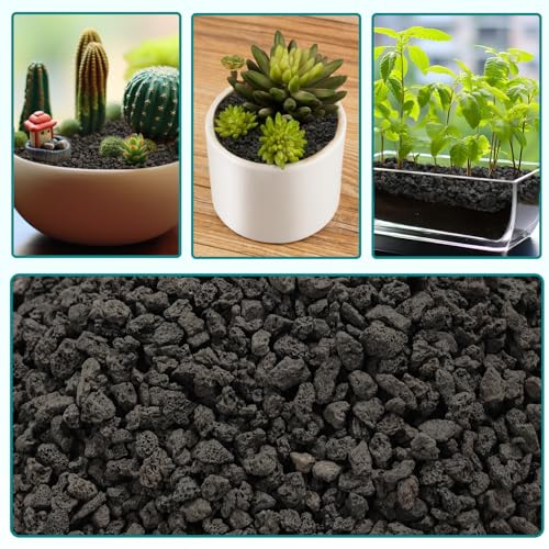5lbs Small Lava Rocks for Plants Drainage, 1/5 Inch Black Gravel Mulch for House Plants, Succulent Rocks Pebbles for Planters,Cactus, Bonsai Tree, Pure Volcanic Rocks, Top-Dressing - color: Black 1/5 Inch