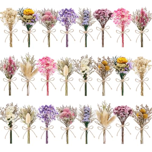 12/24 PCS Charming Dried Flowers Bouquet for Vase Various Dried Wildflowers with Stems Mini Handmade Wildflowers Natural Real Flowers Bulk Flowers Craft (Various Series, 24 PCS) - color: Various Series
