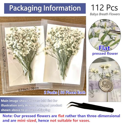 112Pcs Babys Breath Mini Dried Pressed Flowers for Crafts, Real Natural Flat White Dry Flowers Bulk for DIY Wedding Invitation, Resin Art, Card, Bookmark, Scrapbook, Jewelry, Frame, Candle,Soap Making - color: White Baby's Breath 112pcs