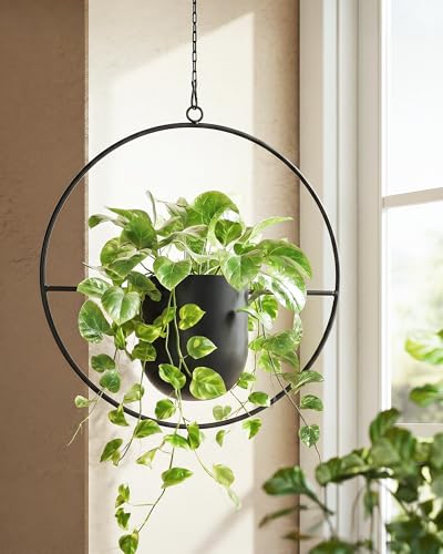 Bamworld Black Hanging Planters for Indoor Outdoor Plants Metal Hanging Pot | 5.5 Inch Modern Hanging Baskets, Window Plant Hanger, Ceiling Hanging Flower Pots with Chain for Wall Decor, Round - size: Round - 5.5in