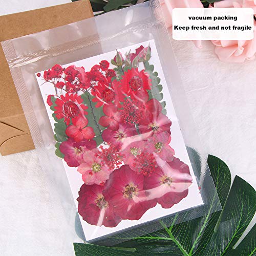 Augshy Red Dried Pressed Flowers, Pressed Red Roses Dried Flowers for Resin Molds Jewelry Nail Art Craft DIY - color: Red