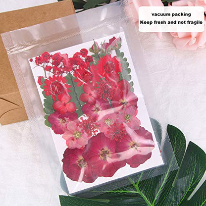 Augshy Red Dried Pressed Flowers, Pressed Red Roses Dried Flowers for Resin Molds Jewelry Nail Art Craft DIY - color: Red