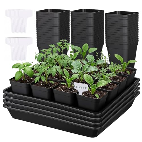 GREANER 4PCS Seed Starting Trays 12 Inch, 60PCS 2.7 Inch Sturdy Seedling Pots with Drain Holes and 20PCS Plant Labels for Indoor&Outdoor Use - size: 2.7" Pots-60PCS + 12" Trays-4PCS