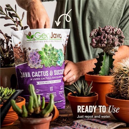 Java Cactus & Succulent Soil: A Gritty, Fast‑Draining, Peat-Free, Ready‑to‑Use Potting Mix for Cacti & Succulents -Keeps Roots Well Aerated for Indoor Pots & Plants. USA Made (6QT)