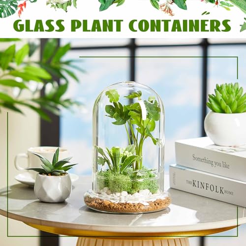 2 Pcs 5.9 x 7.9 Inch Glass Terrarium Dome Cloche with Air Hole & Glass Base, Clear Terrarium Containers Ventilated Plant Humidity Dome for Carnivorous Plants Orchids Tropical Cuttings, No Leakage - size: 5.9 x 7.9 Inch