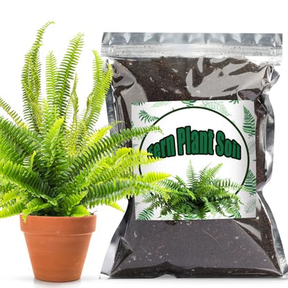 Doter Potting Soil Mix for Fern 4qt, Custom Hand Blended Mixture Suitable for Indoor/Outdoor Potted Fern Plant - size: 4qt
