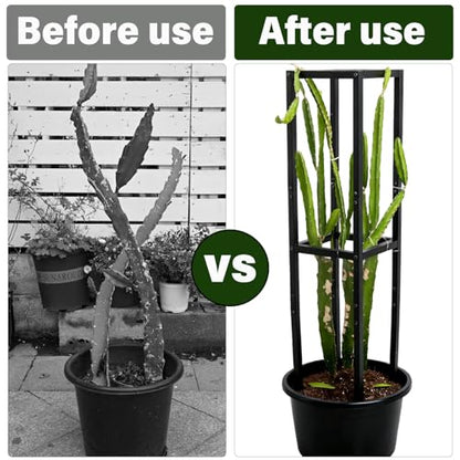48" Dragon Fruit Trellis Durable Metal Support for Climbing Plants