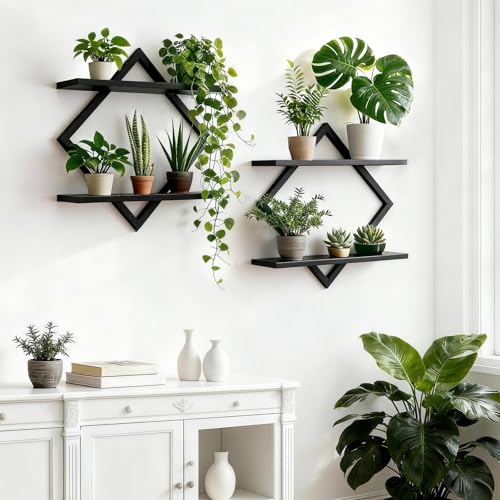 Set of 2 Wall Plant Holder Wall Planters for Indoor Plants Window Plant Shelves Plant Stand Indoor Floating Wall Shelves for Plant Hanger Indoor for Plants, Books, Photos wall Decor (Black) - color: Black, size: 2 Pack