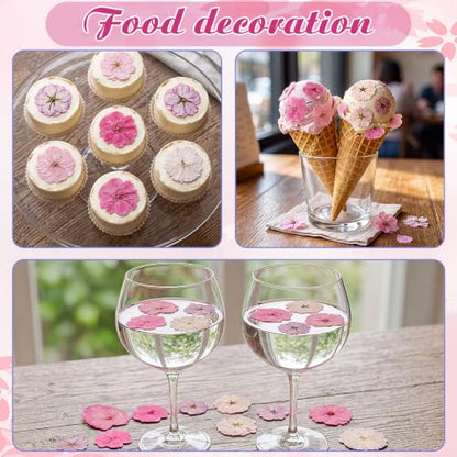 96 Pcs Pressed Dried Flowers | Natural Dried Flowers for Cake Topper Cupcake, Cocktails Garnish, Resin Jewelry DIY, Soap, Candle Making Art Crafts - color: Pink Purple, style: Flower Style