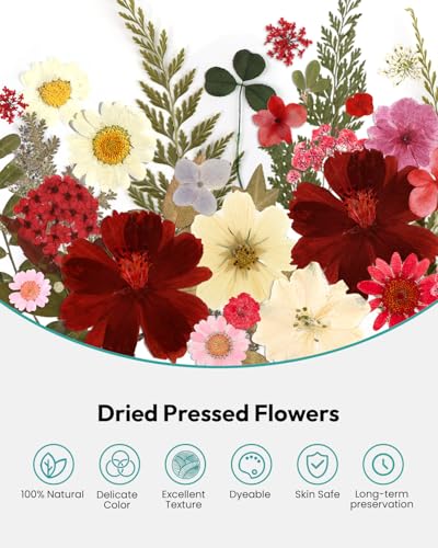 Dried Flowers, Resiners 174Pcs Pressed Flowers for Craft Red Real Natural Dried Flowers Dry Leaves Kit for DIY Making Crafts Resin Soap Candle Scrapbook Supplies Card Making Jewelry - color: Cherry 174pcs