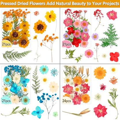 235 Pcs Pressed Dried Flowers for Resin, Natural Real Dried Pressed Flowers for Crafts, Bulk Dry Flowers for Resin Molds, Candles, DIY Art Jewelry Making with Tweezers Butterfly Stickers Set Decorate - size: 235 Pcs Dried Flowers with Butterfky