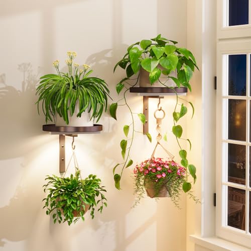 iDavosic.ly Plant Wall Hanger with Grow Lights Set of 2 for Indoor, Bronze - color: Bronze with Lights, size: 2 Pack