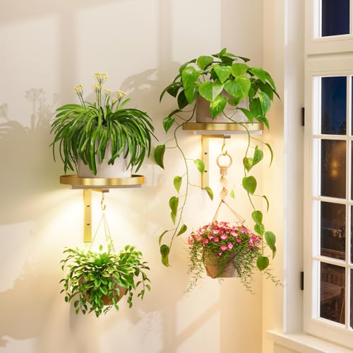 iDavosic.ly Plant Wall Hanger with Grow Lights Set of 2 for Indoor, Gold - color: Gold with Lights, size: 2 Pack