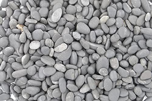 CNZ Polished Natural River Pebble Stone, 10 lb., Black - size: 0.5"-0.8", 10 LBS