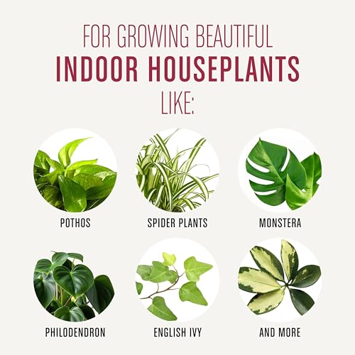 Miracle-Gro Houseplant Potting Mix, 4 qt. - size: 1 Pack, style: Houseplant