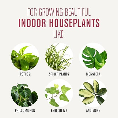 Miracle-Gro Houseplant Potting Mix, 4 qt. - size: 1 Pack, style: Houseplant