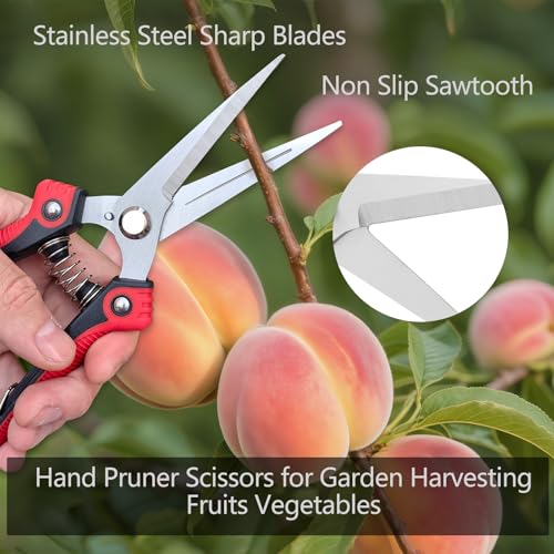 Gardening Scissors Hand Pruner Pruning Shear with Straight Stainless Steel Blades, Flower Cutter Garden Clippers, 8.1 Inch (Green) - color: Green