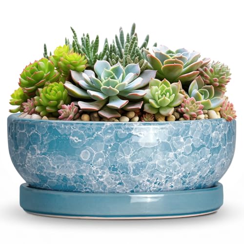 Succulent Planter, 13 Inch Ceramic Bonsai Pots, Droplet Blue - color: Droplet Blue, size: 13 Inch