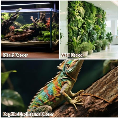 Acrux7 6PCS Cork Bark for Reptile 11.8x11.8 Inch Terrarium Background Panel | Natural Bark Backdrop and Climbing Mat for Gecko, Lizard, Chameleon, Beared Dragon, Turtle Habitat Decor, Hiding Area