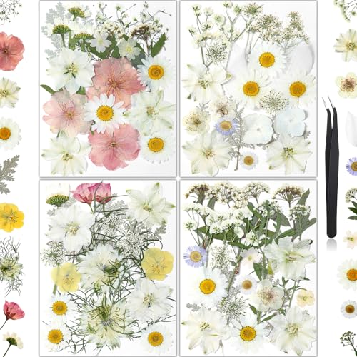 86Pcs Dried Flowers for Crafts, Real Pressed Flowers for Crafts Dried Pressed Flowers Dry Leaves in White, Pink & Yellow Tones for Resin, DIY Art, Scrapbook, Jewelry, Candle & Soap Making with Tweezer - color: White 86pcs