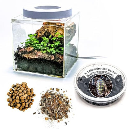 Generic Tiny Terrarium Kit with Isopods (6x6 inch) - DIY Starter Kit, BioActive Enclosure, Live Tropical Plants, LED Grow Light, Soil & Drainage, White