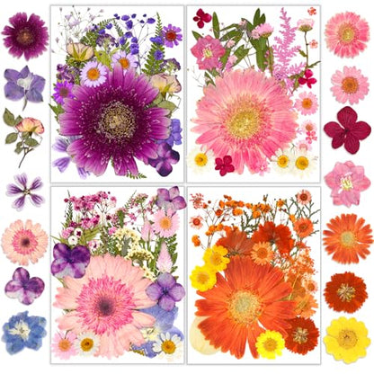 Dried Pressed Flowers, Resiners Dried Flowers for Candle Making Real Natural Pressed Flowers Dry Leaves Kit for DIY Crafts Resin Soap Scrapbook Card Making Jewelry (Gerbera Daisy 100pcs) - color: Bold Gerbera 100pcs