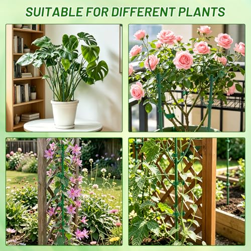 12 Pack Stackable Monstera Plant Support Poles with 20 Clips, 2 Roll Tie