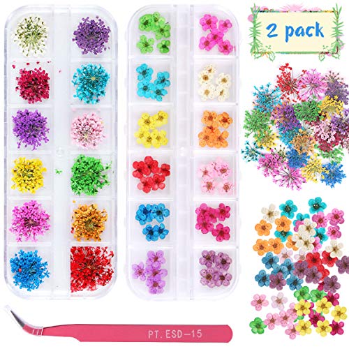 KISSBUTY 24 Colors Dry Flowers Mini Real Natural Flowers Nail Art Supplies 3D Applique Nail Decoration Sticker for Tips Manicure Decor (Gypsophila)