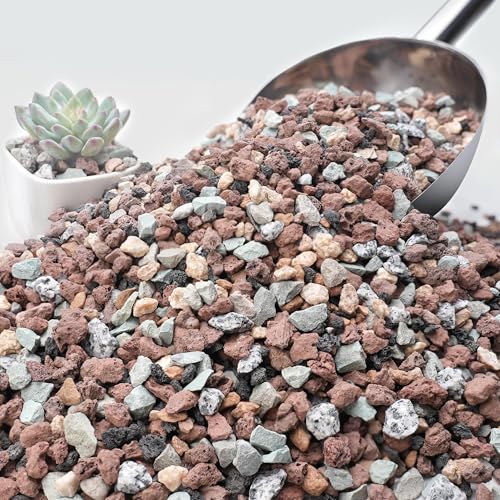 NUPICK 20lb Mix Horticultural Lava Rocks for Plants, 3/8" Gravel for Cactus | Colorful Succulent Potting Soil Amendments, Decorative Bonsai Gritty Rock, Pumice for Plants, Vase Fillers, Top Dressing - color: Mixed, size: 20 Lb