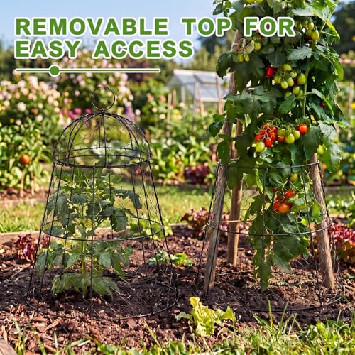 Sadnyy 12 Pack Garden Chicken Wire Cloche, 13" W X 15.7" H Plant Protectors and Covers, Wire Garden Cloches from Animals Metal Cage Plant Protection Strong and Not Easy to Deform - size: 13" D X 15.7" H, style: Detachable Style