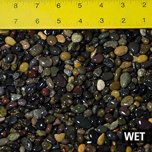 3 Lbs. Beach Pebbles for Bonsai Tree Humidity/Drip Tray, Lucky Bamboo, Zen/Fairy Garden, Aqurium & Fish Tank