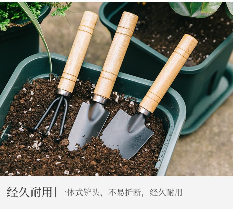 Mini Garden Tool Set 3 Piece, Iron Succulent Tools with Wooden Handles, Hand Trowel Transplant Shovel and Rake Kit for Planting, Repotting, Weeding, Indoor Outdoor Gardening