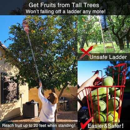 DonSail Fruit Picker Pole Tool with Basket Telescoping, Adjustable Apple Picker Pole 35-170 inch Long Handle, Mango Orange Avocado Fig Acorn Lemon Pear Pomelo Chery Picker for Tree - size: 35-170"
