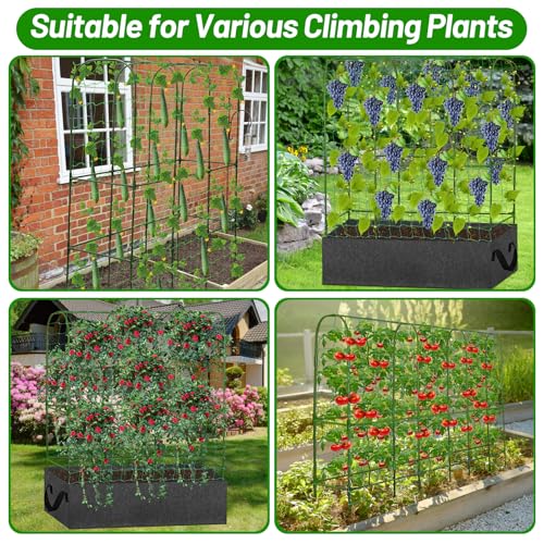 U-Shape Cucumber Trellis with Fabric Raised Garden Bed 65x50 Inch Metal Garden Arch Trellis with Net, Climbing Plants Vegetables Heavy-Duty Outdoor Plant Support for Pea, Grape, Squash, Tomatoes - size: 1pack 65 x 50 Inch