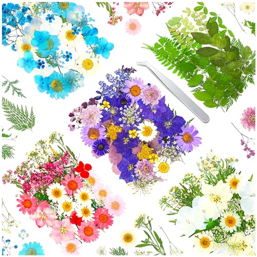 170Pcs+ Real Dried Pressed Flowers Leaves Petals for Crafts-Beautiful Pressed Flowers Daisies for Resin Jewellery, Pressed Flowers Nail Pendant Crafts Making Craft DIY Accessories with 1pcs Tweezers - color: Color-a