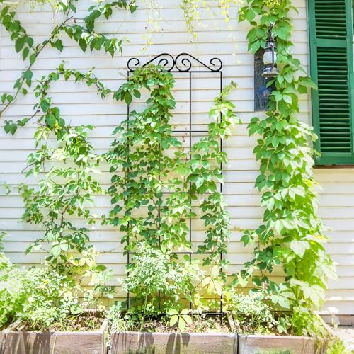ARIFARO 4Pack 47'' Metal Garden Trellis for Climbing Plants Outdoor | Thicken Steel Trellis, For Indoor/Outdoor, Tomato, Cucumber, Rose, Flower, Potted Plants, Houseplants, Climbing Vines, Black - size: 47 inches