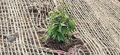 AK Trading CO. Jute Erosion Control, Soil Saver Mesh Blanket - 48" Wide x 5 Yards (15 feet Long) - 60 Sq. Ft. Coverage - size: 5 Yard