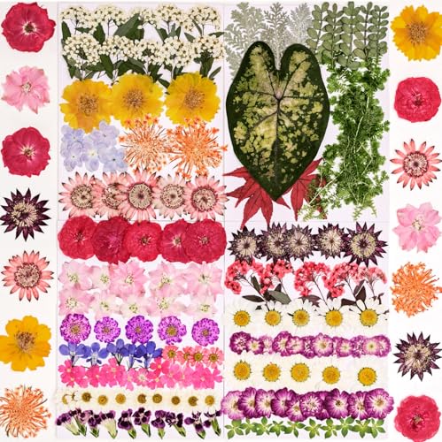 Dried Pressed Flowers for Crafts Bulk, 156pcs Assorted Dried Flat Flowers and Dry Leaves, Dried Flowers for Resin, Scrapbooking, Jewelry Making - color: 156pcs Colorful Pressed Flowers