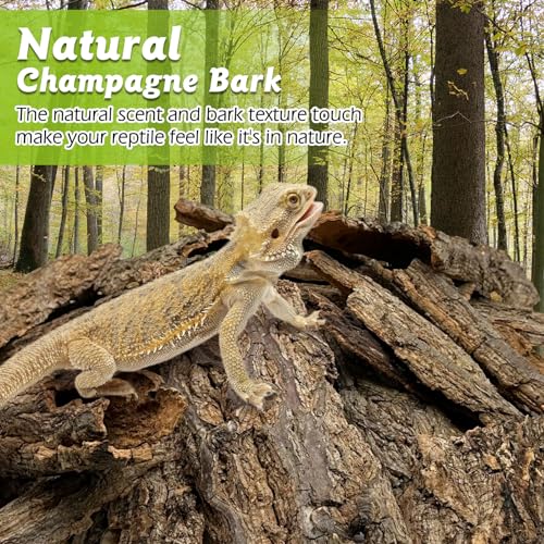 Reptile Cork Bark with Reptile Terrarium Acrylic Tarantula Breeding Box Magnetic Hermit Crab Habitat Tank Transparent Jumping Spider Cage for Insect Snail Amphibians Sling Isopods