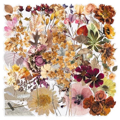 50Pcs Dried Flower Stickers, Waterproof PET Vintage Pressed Flower Stickers for Kids Teens Adults, Water Bottles Laptops, Dried Flower Plant Decals for Scrapbook Journal, Flower Lovers Gifts - color: Transparent Dried Plant Stickers