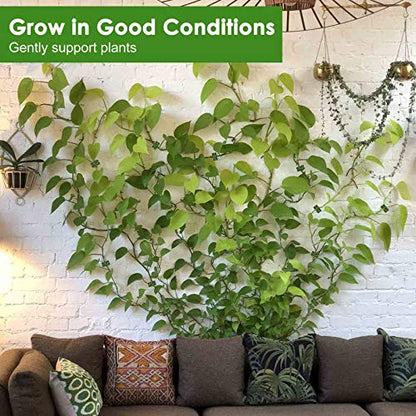 Plant Clips-Plant Climbing Wall Fixture Clips 110PCS, Invisible Clips For Climbing Plants，Self-Adhesive plant wall clips For Plant Support, Sticky Plant Fixture Clips Plant Holder For Pothos - size: Green clip