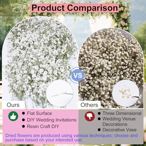 50Pcs Babys Breath Dried Pressed Flowers for Crafts,Xinxinran Purple Dry Flowers Kit for Wedding Invitation Accessories,Bookmark,Jewelry Molds,Candle Making Supplies,Soap,Frame,Cakes - color: Purple Baby's Breath