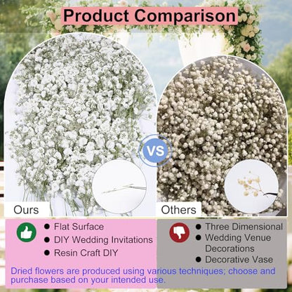 50Pcs Babys Breath Dried Pressed Flowers for Crafts,Xinxinran Purple Dry Flowers Kit for Wedding Invitation Accessories,Bookmark,Jewelry Molds,Candle Making Supplies,Soap,Frame,Cakes - color: Purple Baby's Breath